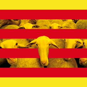 separata catalan