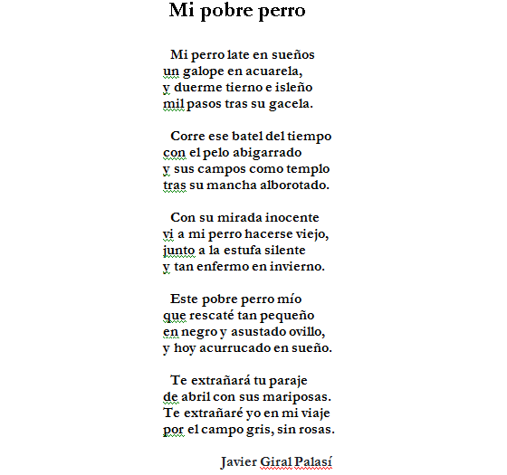 poema mi perro